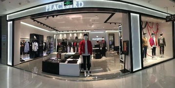 太平鳥 從日用百貨到時尚品牌的成功逆襲